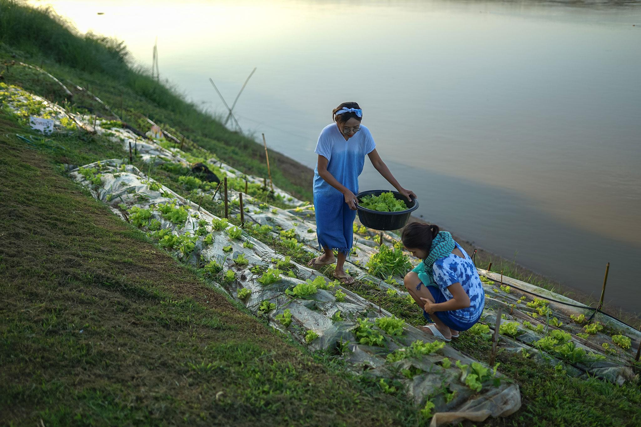 Chiangkhan River Mountain Resort Chiang Khan Exterior foto